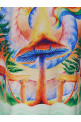 'Nature Teacher' shirt Multicolor 'Nature Teacher' shirt Multicolor