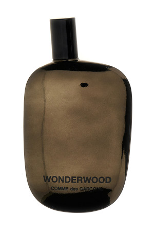 Парфуми COMME DES GARÇONS 'Wonderwood' 100 мл Коричневий 65037654U Парфуми COMME DES GARÇONS 'Wonderwood' 100 мл Коричневий 65037654U