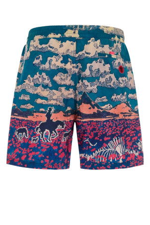 ШОРТЫ Разноцветное МОРОЖЕНОЕ (IC23412) ШОРТЫ Разноцветное МОРОЖЕНОЕ (IC23412)