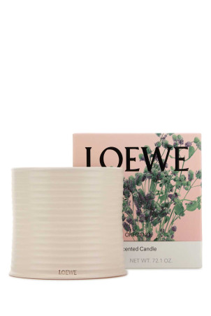 Большая ароматическая свеча с ароматом орегано LOEWE (LW67812) Большая ароматическая свеча с ароматом орегано LOEWE (LW67812)