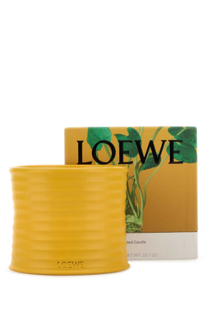 Свеча с ароматом средней остроты васаби LOEWE (LW81023)