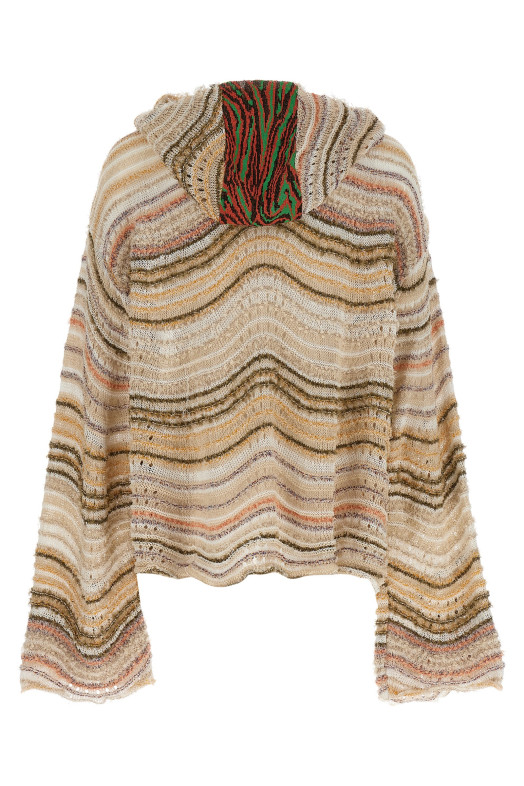 Светр з капюшоном VITELLI 