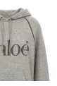 Logo hoodie Gray Logo hoodie Gray