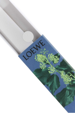 Ароматические палочки Ivy LOEWE (LW77378) Ароматические палочки Ivy LOEWE (LW77378)