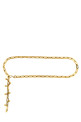 Цепной ремень Gold ETRO WP3B0056AM058S0998 Цепной ремень Gold ETRO WP3B0056AM058S0998