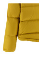 Пуховая куртка с меховой вставкой Желтый ARMY YVES SALOMON 26W26WFV01960M07WA3038 Пуховая куртка с меховой вставкой Желтый ARMY YVES SALOMON 26W26WFV01960M07WA3038