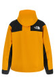 Куртка «Mountain Mono» Жовта NF0A88XFZU31ZU31