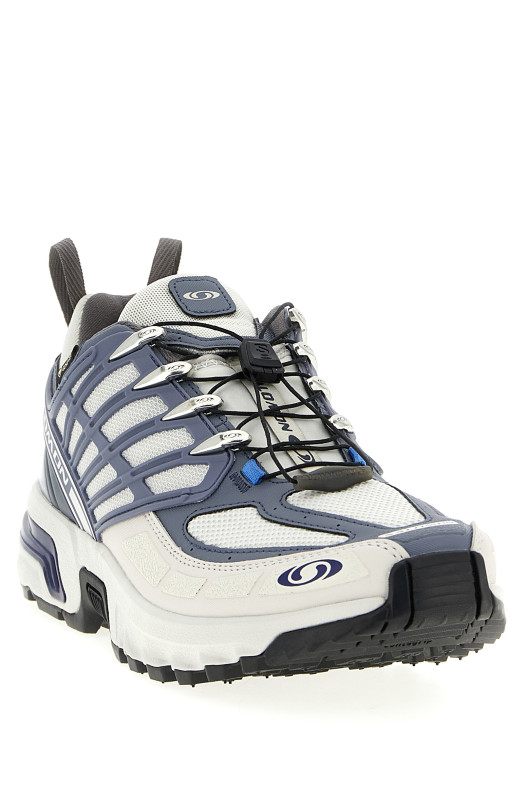 Кросівки «ACS PRO GTX» Різнокольорові L47866900LUNARROCKGRISAILLEPLUMKITTEN