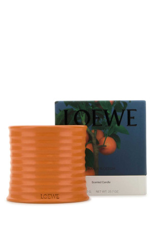 Средняя свеча с ароматом апельсинового цвета LOEWE (LW77187) Средняя свеча с ароматом апельсинового цвета LOEWE (LW77187)