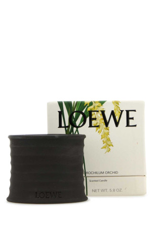 Маленькая ароматическая свеча Dendrochilum Magnum Orchid LOEWE (LW79860) Маленькая ароматическая свеча Dendrochilum Magnum Orchid LOEWE (LW79860)