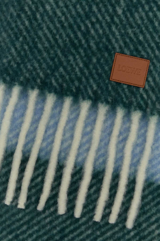 Багатоколірний шарф з суміші альпаки LOEWE (FSA6SS2W01)
