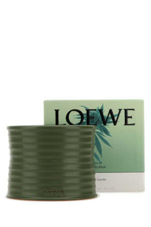 Средняя свеча с ароматом марихуаны LOEWE (LW67591) Средняя свеча с ароматом марихуаны LOEWE (LW67591)