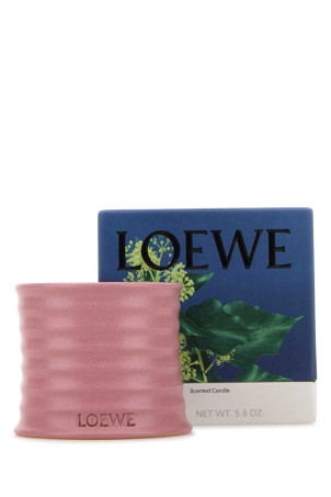 Маленькая ароматическая свеча с ароматом плюща LOEWE (LW67706) Маленькая ароматическая свеча с ароматом плюща LOEWE (LW67706)