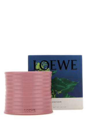 Средняя ароматическая свеча Ivy LOEWE (LW67713) Средняя ароматическая свеча Ivy LOEWE (LW67713)