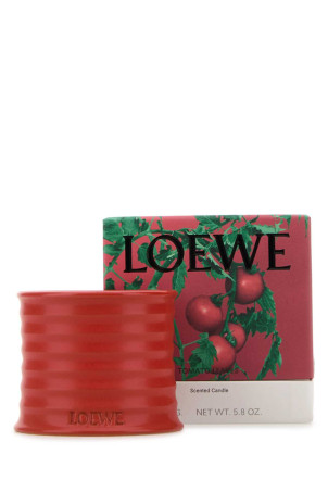 Ароматична свічка Small Tomato Leaves LOEWE (LW67737) Ароматична свічка Small Tomato Leaves LOEWE (LW67737)