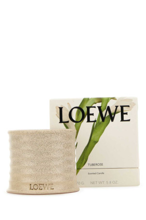 Маленькая ароматическая свеча с ароматом туберозы LOEWE (LW79877) Маленькая ароматическая свеча с ароматом туберозы LOEWE (LW79877)