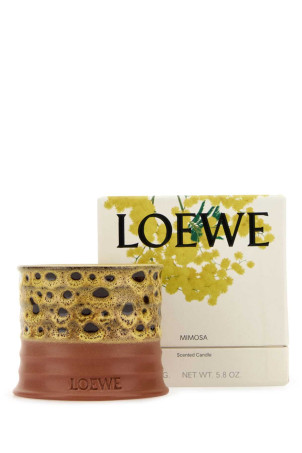 Маленькая ароматическая свеча Mimosa LOEWE (LW79884) Маленькая ароматическая свеча Mimosa LOEWE (LW79884)