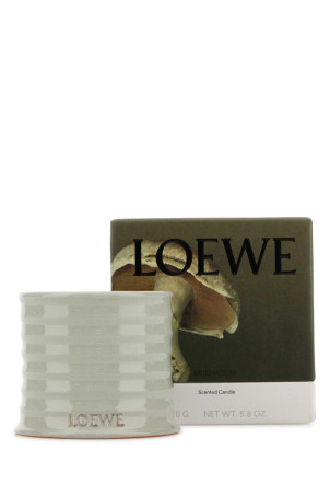 Ароматична свічка Small Mushrooms LOEWE (LW79891) Ароматична свічка Small Mushrooms LOEWE (LW79891)