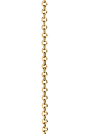 Gold metal belt CHLOE (CH25ABJ41CB7) Gold metal belt CHLOE (CH25ABJ41CB7)