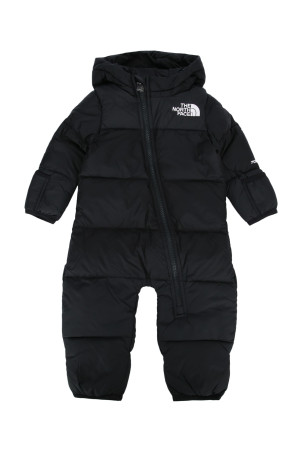 BABY 1996 РЕТРО КАПЮШОН ONE THE NORTH FACE (NF0A7WPF)