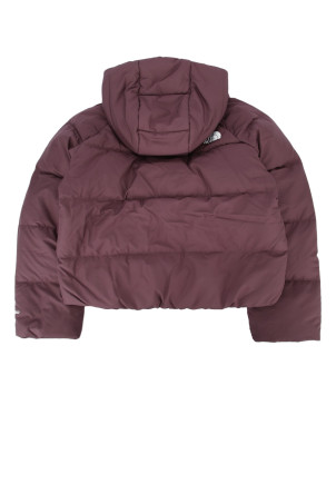 Куртка з капюшоном G NORTH DOWN THE NORTH FACE (NF0A88UD)