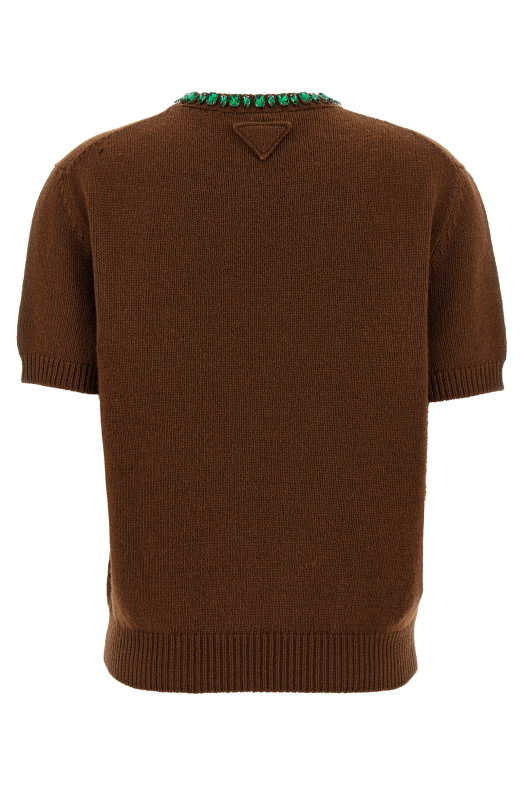 Crystal crew neck sweater Brown