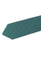 Галстук с принтом «Gancini» Зеленый 789054FVERDE
