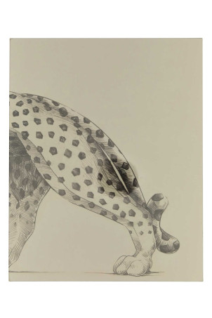 Cartier Panthère ASSOULINE (9781614284284)