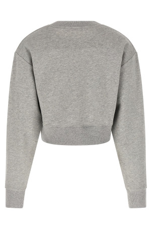 Світшот «Balmain Paris» Сірий GF1JO080BD43YIW