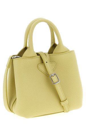 'XS Le Roseau' handbag Green