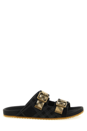 'Urchin' slides Black