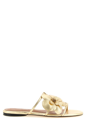 'Orchid' slides Gold