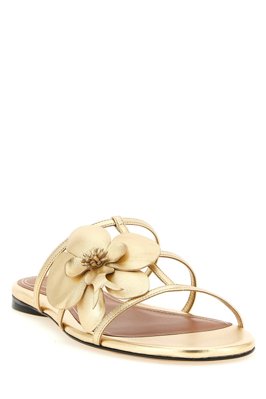 'Orchid' slides Gold