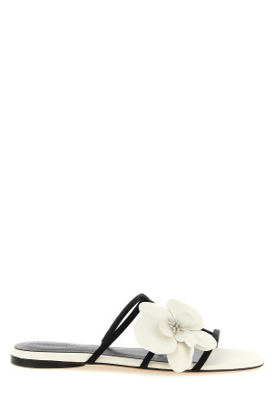 'Orchid' slides Black-grey