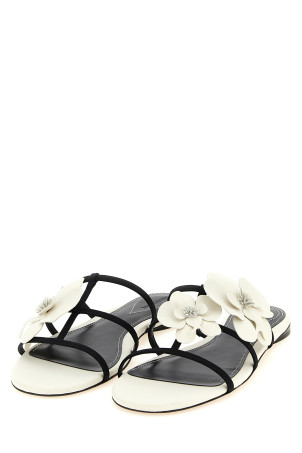 'Orchid' slides Black-grey