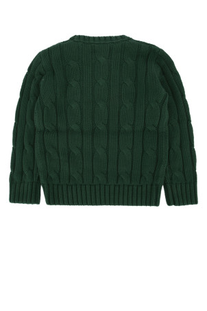 SWEATER PULLOVER POLO RALPH LAUREN (322981036)