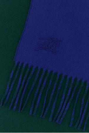 Green cashmere reversible scarf BURBERRY (8110013)