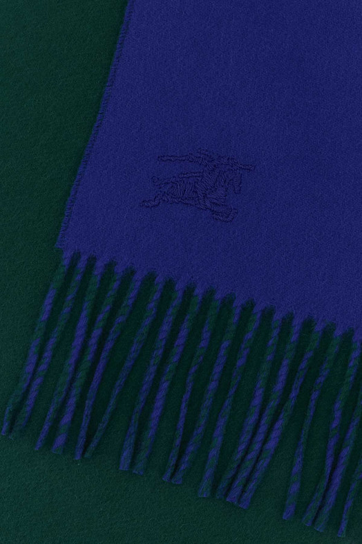 Green cashmere reversible scarf BURBERRY (8110013)