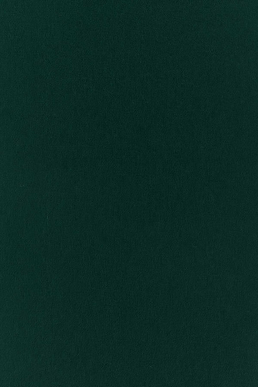 Green cashmere reversible scarf BURBERRY (8110013)