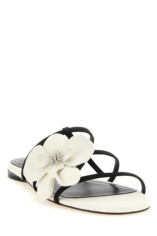 'Orchid' slides Black-grey