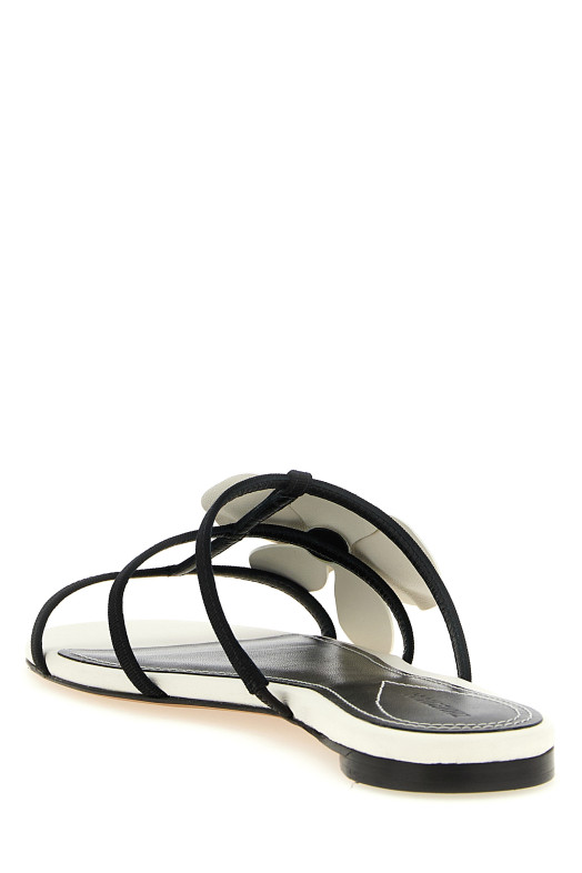 'Orchid' slides Black-grey