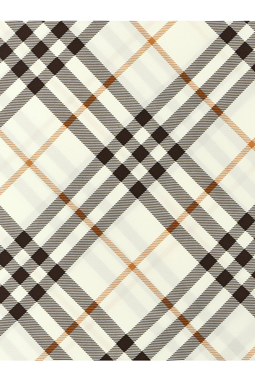 Check scarf Multicolor