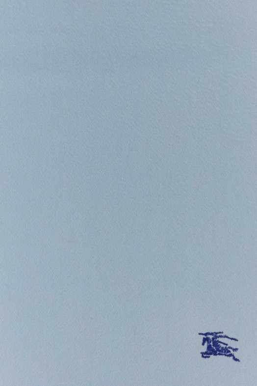 Light-blue cashmere reversible scarf BURBERRY (8110018)