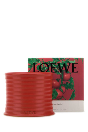 Medium Tomato Leaves scented candle LOEWE (LW67744)