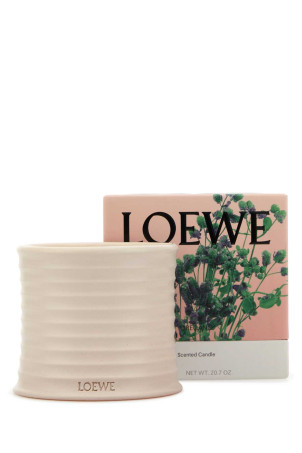 Medium Oregano scented candle LOEWE (LW67805)