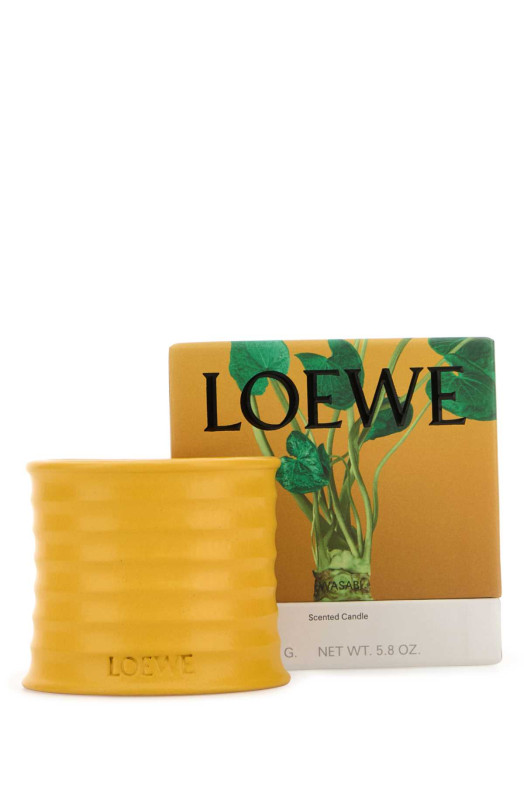 Small Wasabi scented candle LOEWE (LW81016)