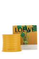 Small Wasabi scented candle LOEWE (LW81016)