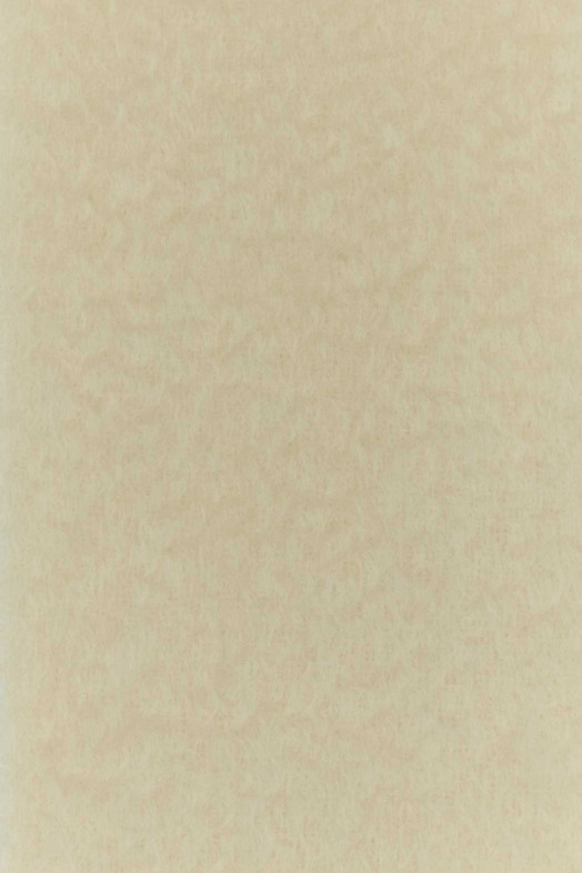 Ivory mohair blend scarf White LOEWE (FSA6SS1X05)