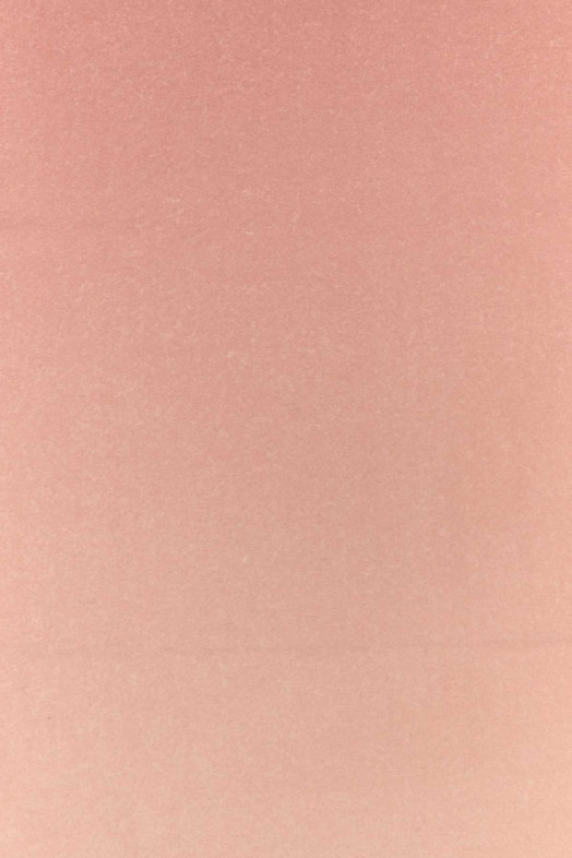 Pink cashmere scarf Multicolor SALVATORE FERRAGAMO (320796770205)