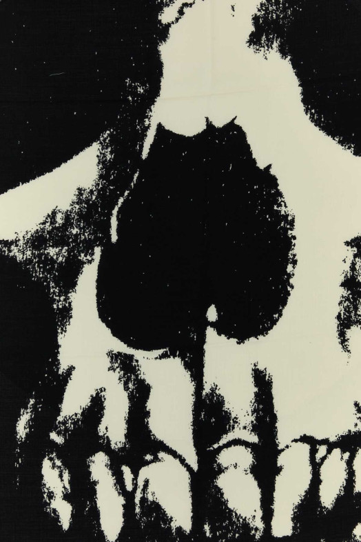 Ivory silk blend scarf ALEXANDER MCQUEEN (8147693643Q)